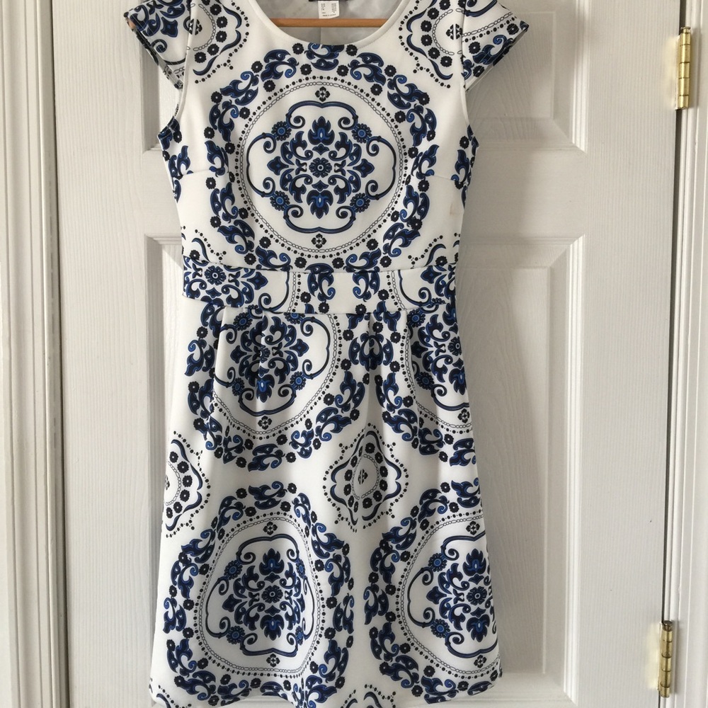 Porcelain Print Skater Dress
